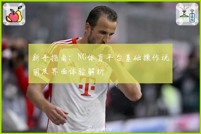 新手指南：NG体育平台基础操作说明及界面体验解析