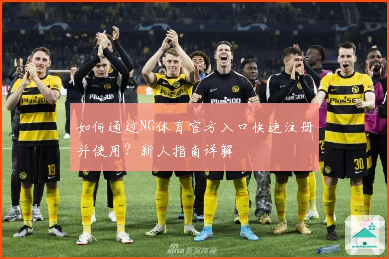 如何通过NG体育官方入口快速注册并使用？新人指南详解